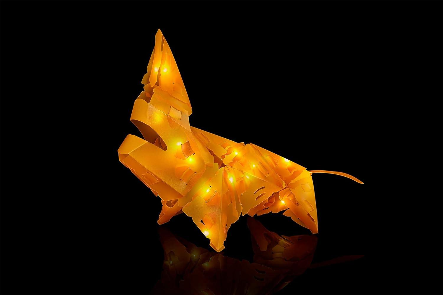 imageCreatto Flashy Fish ampamp Silly Swimmers LightUp 3D Puzzle Kit  Includes Creatto Puzzle Pieces to Make Illuminated Craft Creations Sting Ray Turtle Crab Fish  DIY Activity ampamp LED LightsLuminous Lion