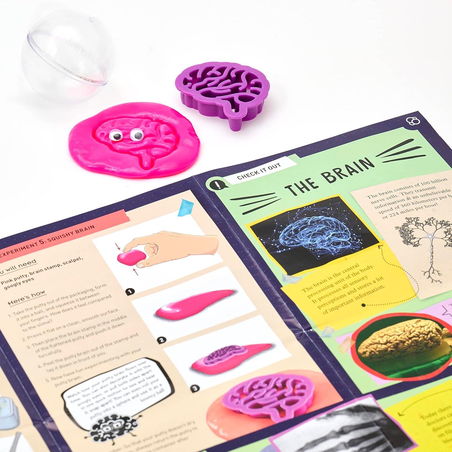 imageThames ampamp Kosmos Gross Anatomy MakeYourOwn Squishy Human Body STEM Experiment Kit  Make Colorful Models of Human Organs with Slime ampamp Putty  Fun Tactile Intro to Human Anatomy  5 Cool Activities