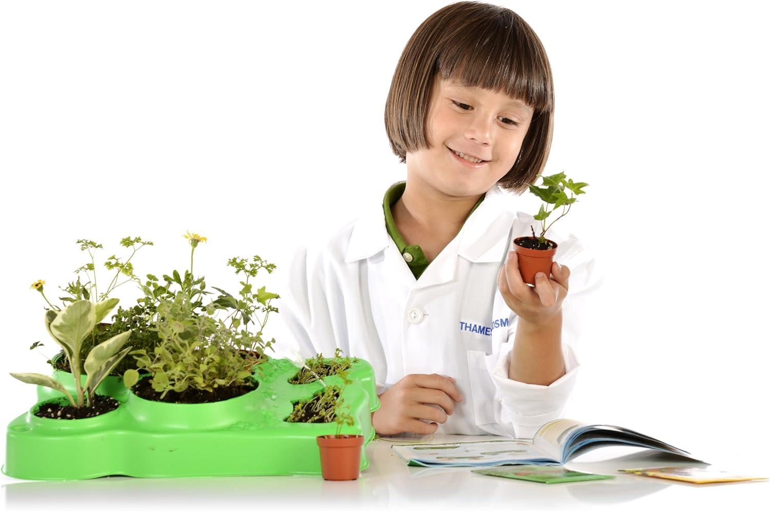 imageThames ampamp Kosmos Kids First Botany Experimental Greenhouse Kit Model567004