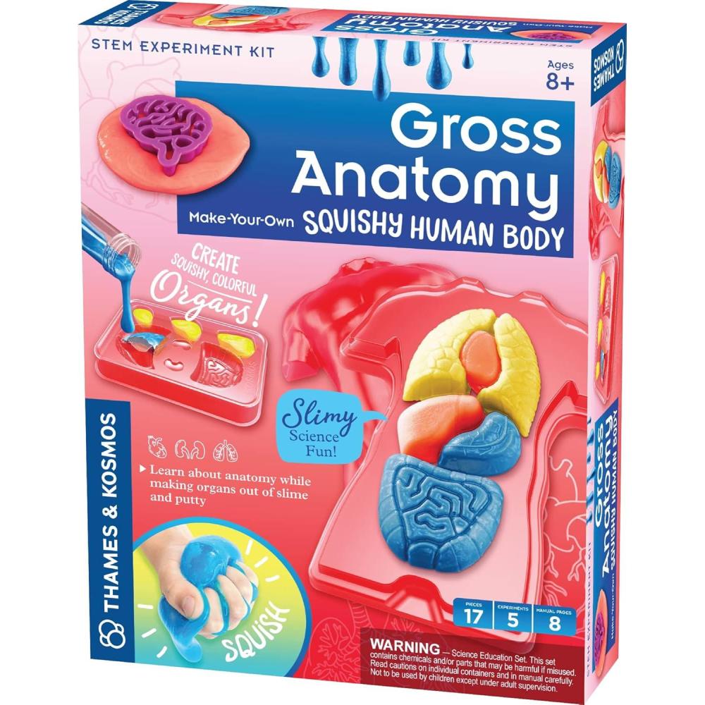 imageThames ampamp Kosmos Gross Anatomy MakeYourOwn Squishy Human Body STEM Experiment Kit  Make Colorful Models of Human Organs with Slime ampamp Putty  Fun Tactile Intro to Human Anatomy  5 Cool Activities