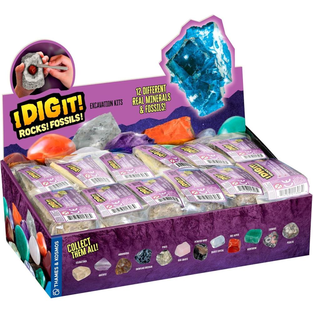 imageThames ampamp Kosmos I Dig It Rocks ampamp Fossils Excavation Gift Set 24 Excavation Kits wMineral ampamp Fossil Specimens Party Favors Stocking Stuffer Easter Baskets Collect 12 Unique Specimens ENFR