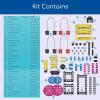 Thames & Kosmos Easy Electric Circuits STEM Kit | Essential Circuitry Set | 15 Experiments, 5 Motorized Models – Electricity, Current, Voltage, LEDs & More | Innovative, Easy-to-Use Building System