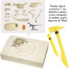 Thames & Kosmos Jurassic World Dominion Dinosaur Dig – Blue, T. Rex & Amber | STEM Excavation Kit from Dig Out Prehistoric Treasures with Custom Jurassic World Tools | Safe, Dust-Free Activity