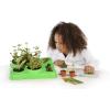 Thames & Kosmos Kids First Botany – Experimental Greenhouse Kit, Model:567004