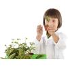 Thames & Kosmos Kids First Botany – Experimental Greenhouse Kit, Model:567004