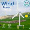Thames & Kosmos Wind Power V4.0 STEM Experiment Kit | Build a 3ft Wind Turbine to Generate Electricity | Learn About Renewable Energy & Power a Small Model Car | Weatherproof for Outdoor Use