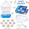 Wow in The World – 10 Real Break-Open Crystal Geodes with Display Case – Bonus Goggles & Magnifying Glass, Companion Audio Content, STEM Toy for Boys & Girls 6+ by Thames & Kosmos(7.6 x 11 x 3 inches)