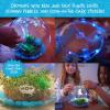 Wow in The World Light-UP Terrarium | Grow Plants, Decorate Your Terrarium, Glow-in-The-Dark, UV Lights, Companion Audio Content, Bonus Reusable Science Tool, STEM Toy for Kids 6+ by Thames & Kosmos