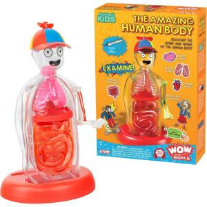 Wow in The World The Amazing Human Body Kit by Thames & Kosmos, Interactive Mechanical Anatomy Model w/Pumping Heart, Lungs, Digestive Tract, Glow-in-The-Dark Bones, Brain & More, Science for Ages 4+