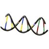 Thames & Kosmos Biology Genetics and DNA Multicolor, med
