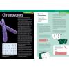 Thames & Kosmos Biology Genetics and DNA Multicolor, med
