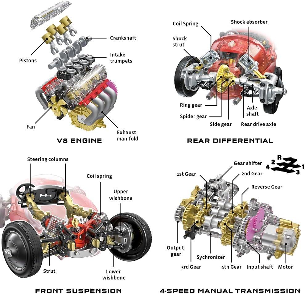 image:imageV8 Race Car