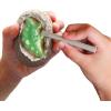 Thames & Kosmos I Dig It! Glow-in-The-Dark Dinosaur Egg Excavation Gift Set | 18 Dig-Out Kits in Individual Gift Boxes, Great for Party Favors, Stocking Stuffers, Easter Baskets, Ages 5+
