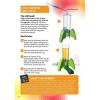 Thames & Kosmos Plasma Reactor