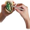 I Dig It Dinos! – Dino Egg (24 Unit Display)