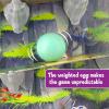 Dodo | Kid’s Game | Family Game |Board Games | Co-op | Dexterity | Ages 6+