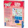 Thames & Kosmos Ooze Labs: Visible Human Body with Squishable Organs(9 Inches)